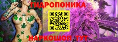 apvp Рыбинск