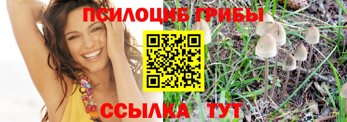 Галлюциногенные грибы Psilocybine cubensis Сафоново