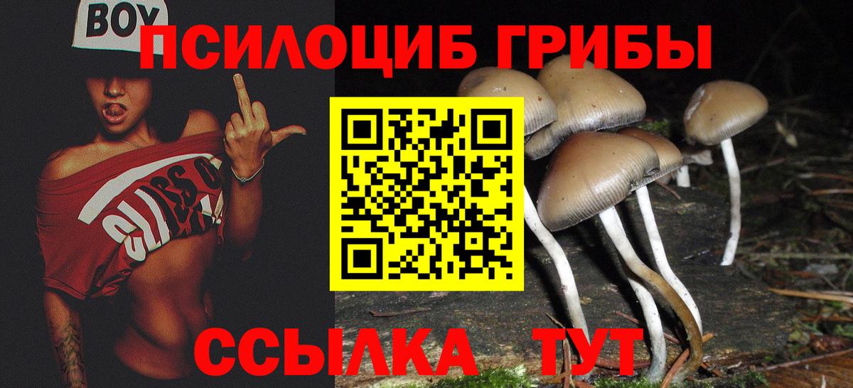 Сафоново  Галлюциногенные грибы ЛСД  Вход с VPN 