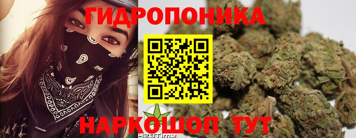Бошки марихуана OG Kush Сафоново